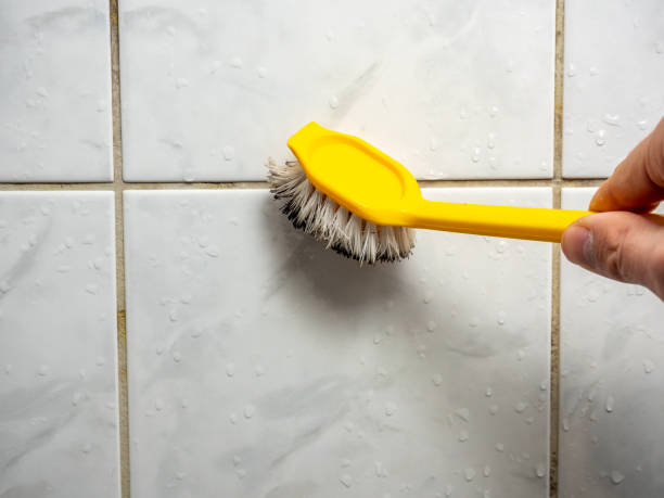 Best Mold Damage Repair  in Morongo Valley, CA